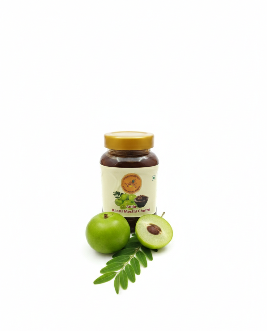 Amla Chutney — herbal sweet from best sweets shop in Haridwar